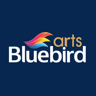 bluebirdarts.pk's icon