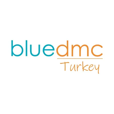 bluedmc.com's icon