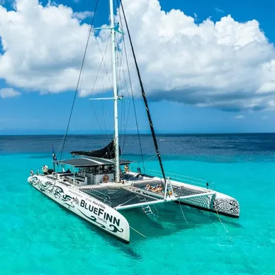 bluefinncharters.com's icon