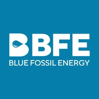 bluefossilenergy.com's icon