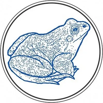 bluefrogfilm.com's icon