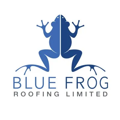 bluefrogroofing.com's icon