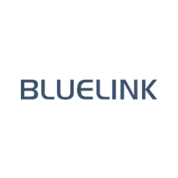 BlueLink Consultants's icon