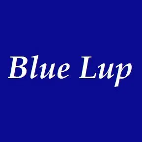bluelup.com's icon