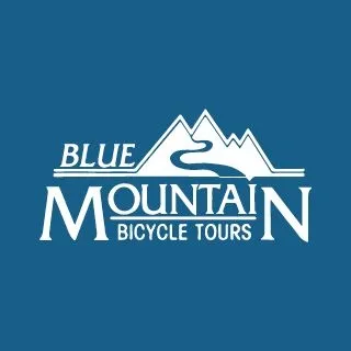 bluemountaintoursja.com's icon