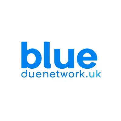 Bluenetwork's icon