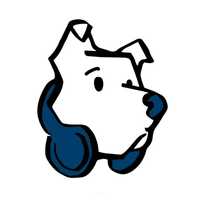 bluenoseaudio.com's icon