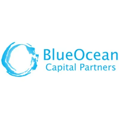 blueoceancapital.com's icon