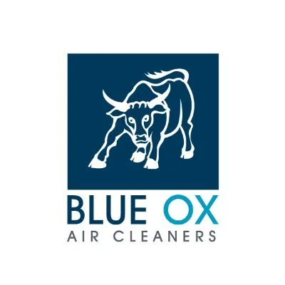 blueoxaircleaners.com's icon
