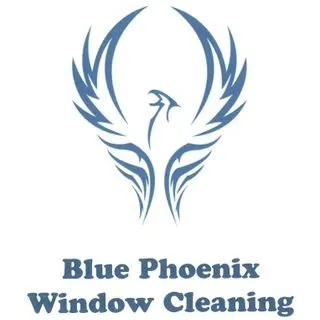 bluephoenixwindowcleaning.com's icon