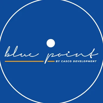 bluepointpanama.com's icon