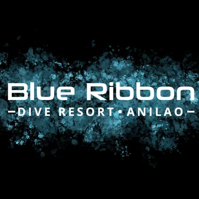 blueribbondivers.com's icon