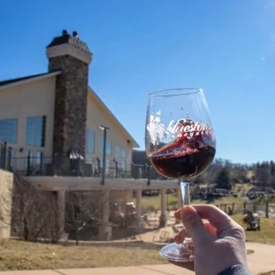 bluestonevineyard.com's icon