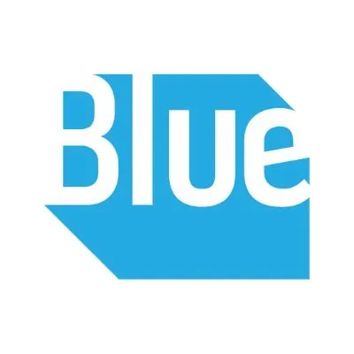 Bluestonex Consulting sp. z o.o.