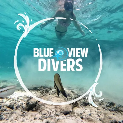 blueviewdivers.com's icon