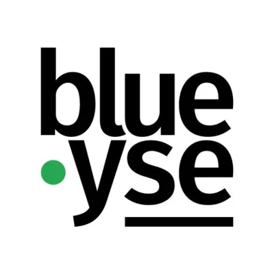 blueyse.nl's icon