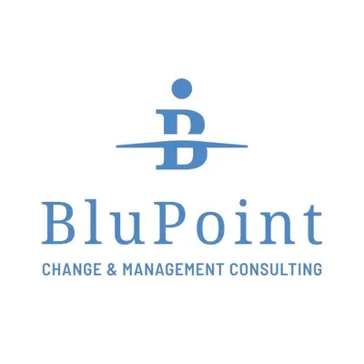 blupoint.nl's icon
