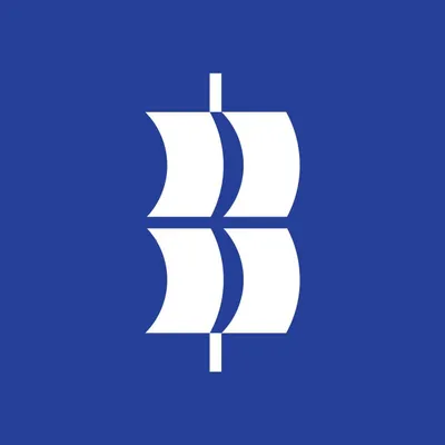 blusaigon.com's icon