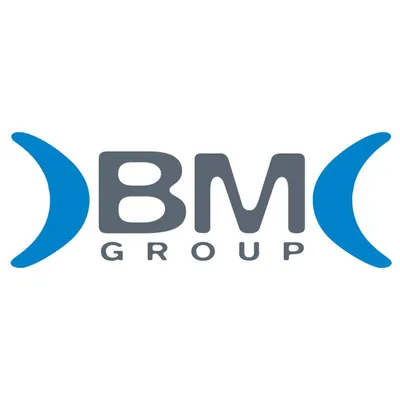 bm-group.com's icon