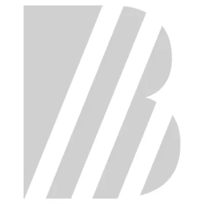 bmgrp.eu's icon
