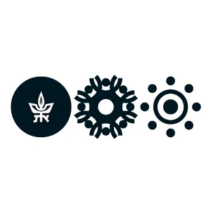 bmiglobalsolutions.org's icon