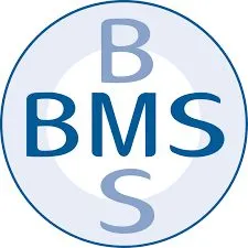 bmsdental.it's icon