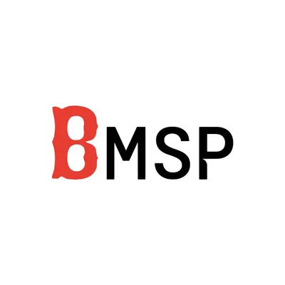 bmsp.tech's icon