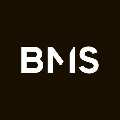 bmspub.com's icon