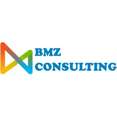 bmz-consulting.com's icon