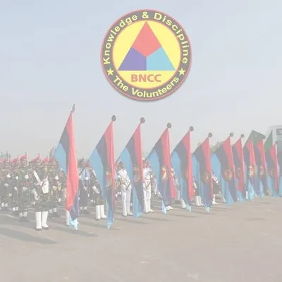 bncc.info's icon
