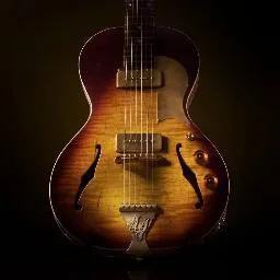 bngguitars.com's icon