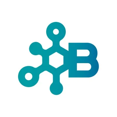 bnn.at's icon