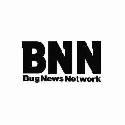 bnn.co.jp's icon
