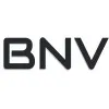 bnvsglobal.com's icon