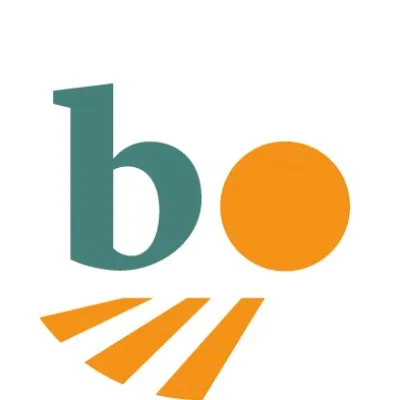 bo-akkerbouw.nl's icon