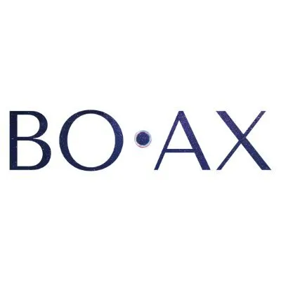 boax.io's icon