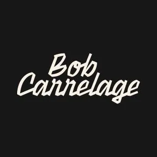 bob-carrelage.com's icon