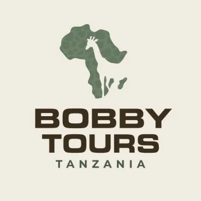 bobbytours.com's icon