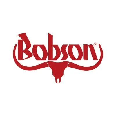 bobson.jp's icon