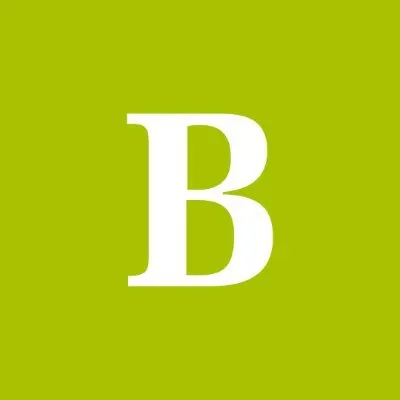 bodeboca.fr's icon