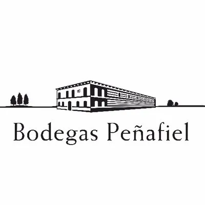 bodegaspenafiel.com's icon