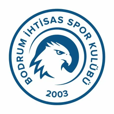 bodrumihtisasspor.com's icon