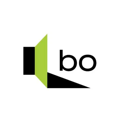 bodvere.cz's icon