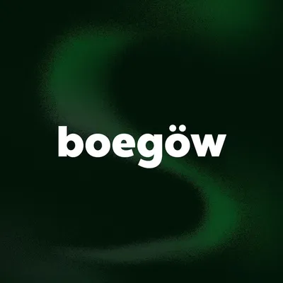 boegow.com's icon