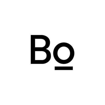bofronts.com's icon