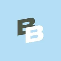 boilingbrains.io's icon