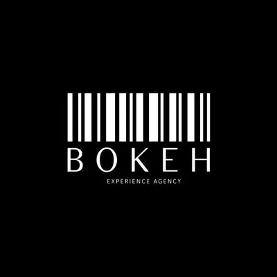 bokeh.ge's icon
