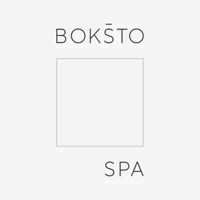 bokstospa.lt's icon