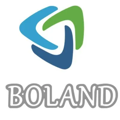 bolandnewenergy.com's icon