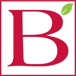 boldbeauty.ro's icon